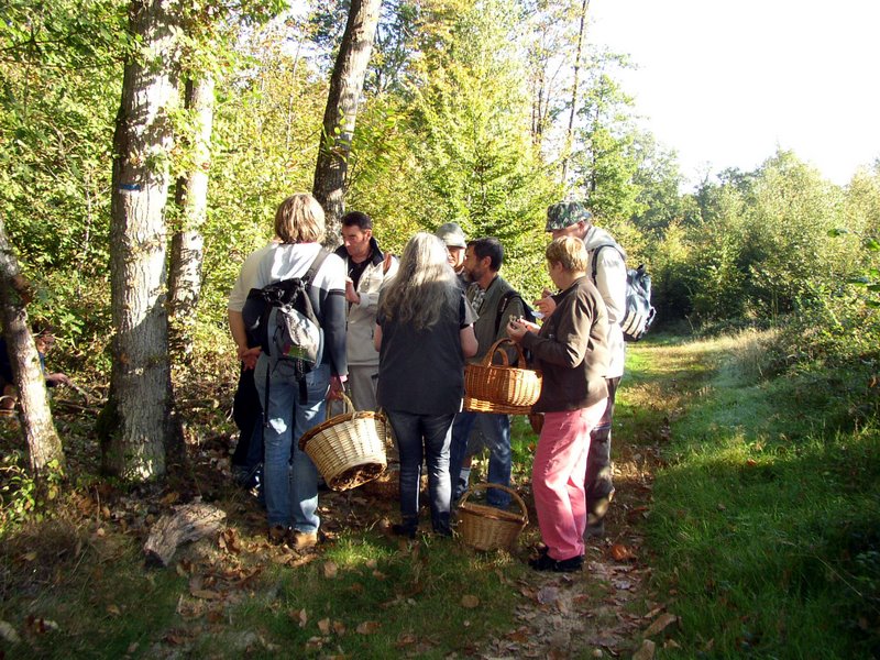 2011 10 02 Baies et champignons 15